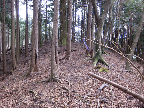 20190205hike (265)